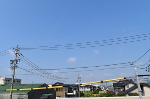 DSC_0353 (2000x1333).jpg